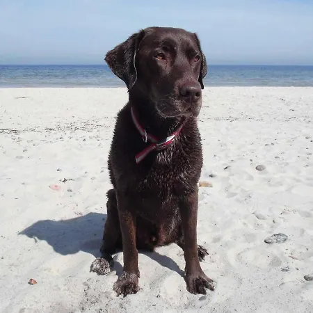 Casa Baltica * 盖尔廷